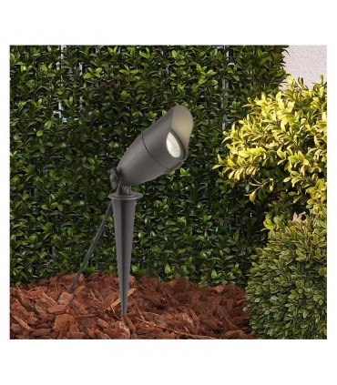 Miidex - 7028 - 3760173777464