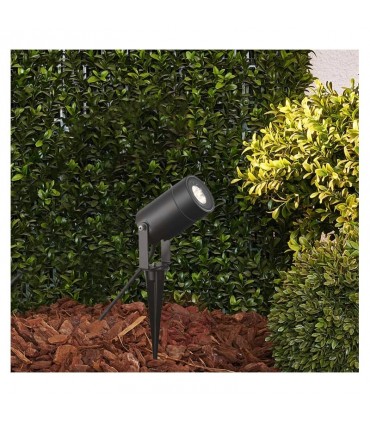 Miidex - 70283 - 3701124420619