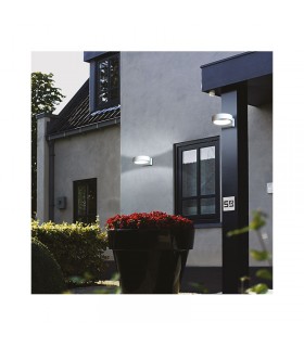 Miidex - 7041 - 3701124400062