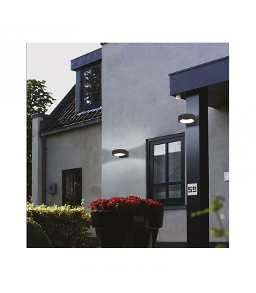 Miidex - 7041 - 3701124400062