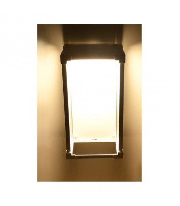 Miidex - 70441 - 3701124400130