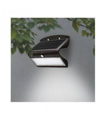 Miidex - 70477 - 3701124409072