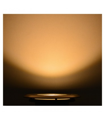 Miidex - 707300 - 3701124422323