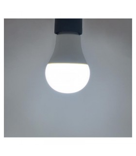 Miidex - 7386 - 3701124411068