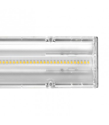 Miidex - 749616 - 3701124415707