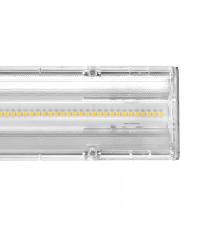 Miidex - 749617 - 3701124415714