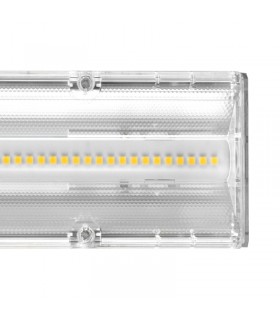 Miidex - 749617 - 3701124415714