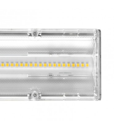 Miidex - 749617 - 3701124415714