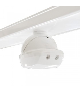 Miidex - 749629 - 3701124415837