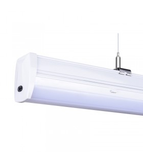 Miidex - 749651 - 3701124416056