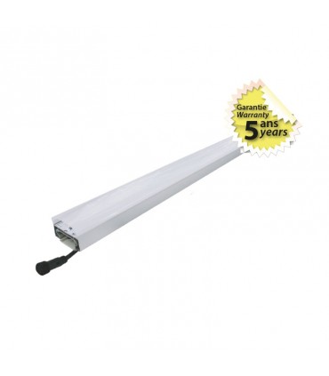 Miidex - 749700 - 3701124421418