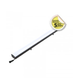 Miidex - 749713 - 3701124400987