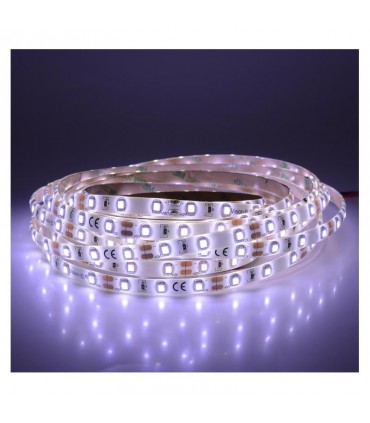 Miidex - 75010 - 3701124417237