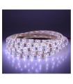 Bande LED de 5m 4.8W/m IP65 12Vdc