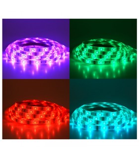 Miidex - 75032 - 3701124414618