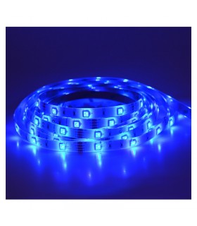 Miidex - 75032 - 3701124414618