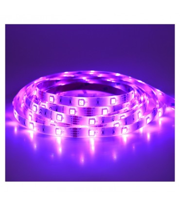 Miidex - 75032 - 3701124414618