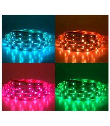 Miidex - 75033 - 3701124414885