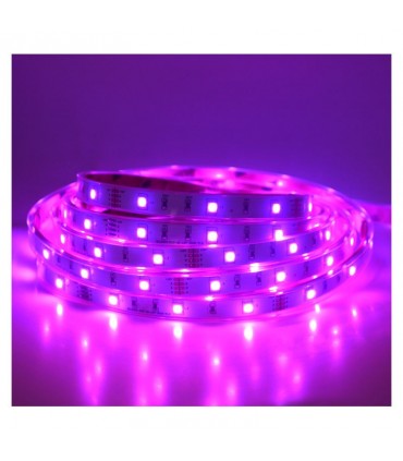 Miidex - 75033 - 3701124414885