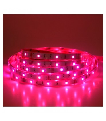 Miidex - 75033 - 3701124414885