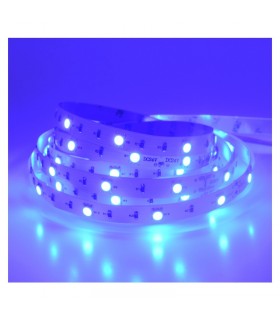 Miidex - 75052 - 3701124401236