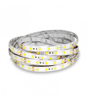 Miidex - 751662 - 3701124422545