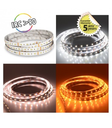 Miidex - 751776 - 3701124422637