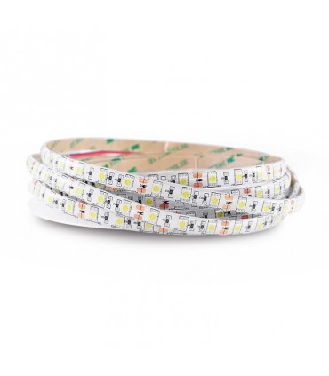 Miidex - 7043 - 3701124400109