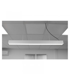 Miidex - 75756 - 3701124425881