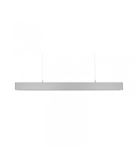 Miidex - 75757 - 3701124425898