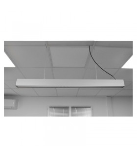 Miidex - 75757 - 3701124425898