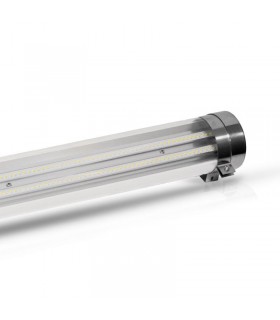 Miidex - 757742 - 3701124421234