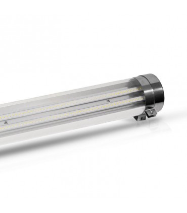 Miidex - 757744 - 3701124422675