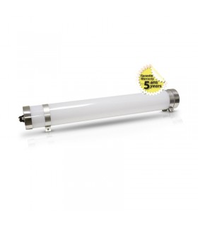 Miidex - 7763 - 3701124414694