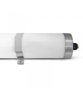 Miidex - 75778 - 3701124401762