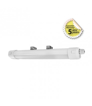 Miidex - 757787 - 3701124425218