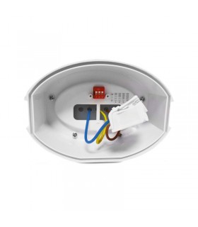 Miidex - 7787 - 3701124411754