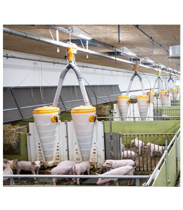 Miidex - 75778 - 3701124401762