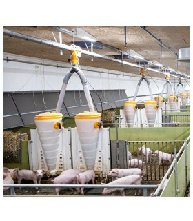 Miidex - 7788 - 3760173776627