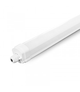 Miidex - 757911 - 3701124426802