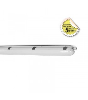 Miidex - 75810 - 3701124408198