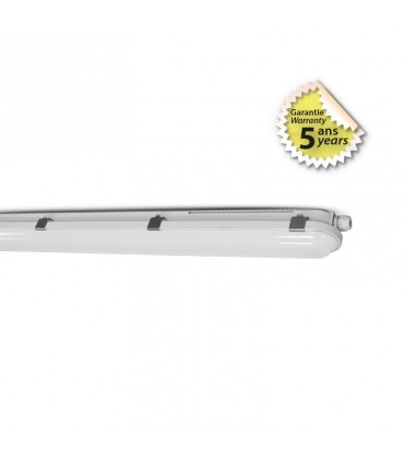 Miidex - 75810 - 3701124408198