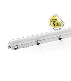 Miidex - 75816 - 3701124412737