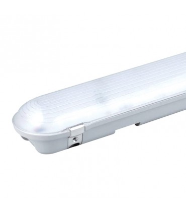 Miidex - 7582 - 3760173775118