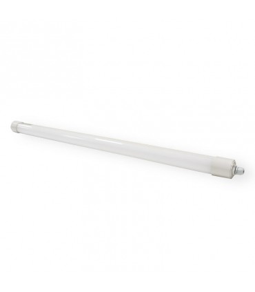 Miidex - 75861 - 3701124420282