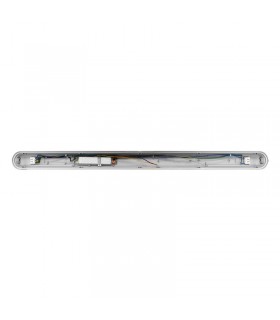 Miidex - 758804 - 3701124425805