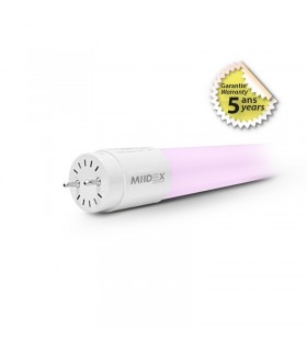 Miidex - 75962 - 3760173779642