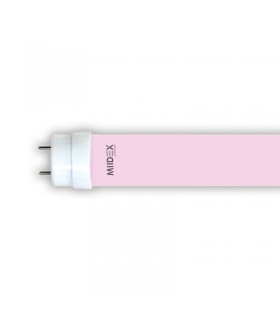 Miidex - 75962 - 3760173779642