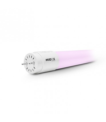 Miidex - 75962 - 3760173779642