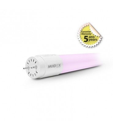 Miidex - 75963 - 3760173779659